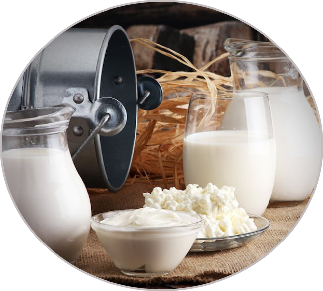 Lácteos