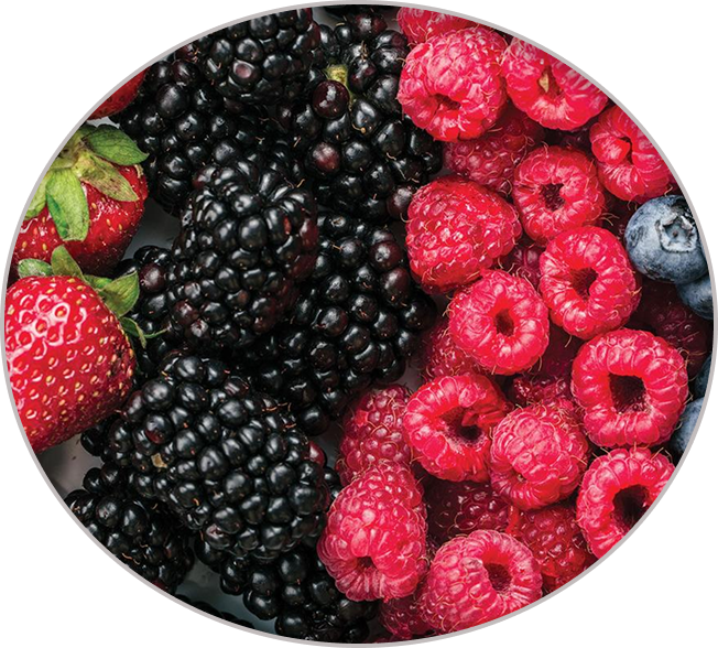 Berries