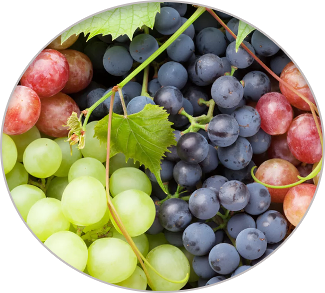 Uvas