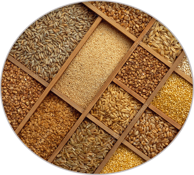Granos y cereales