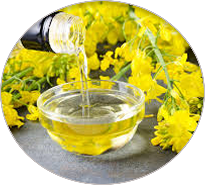 Oleaginosas y aceites vegetales