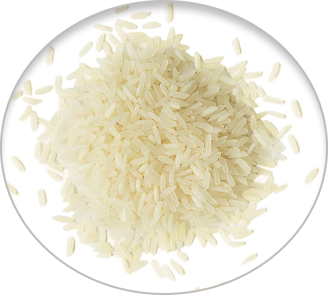 Arroz